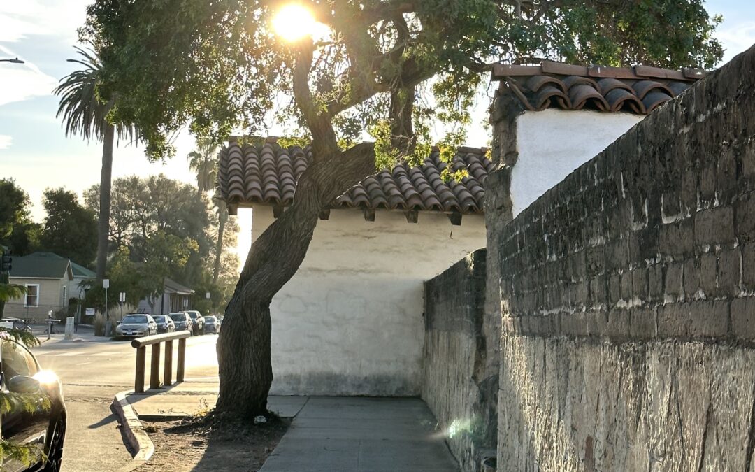 Embracing Change in Your Career